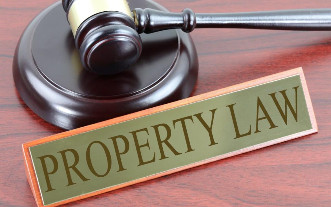 PEM members publish article on Property Law terms